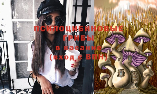 МДПВ Володарск